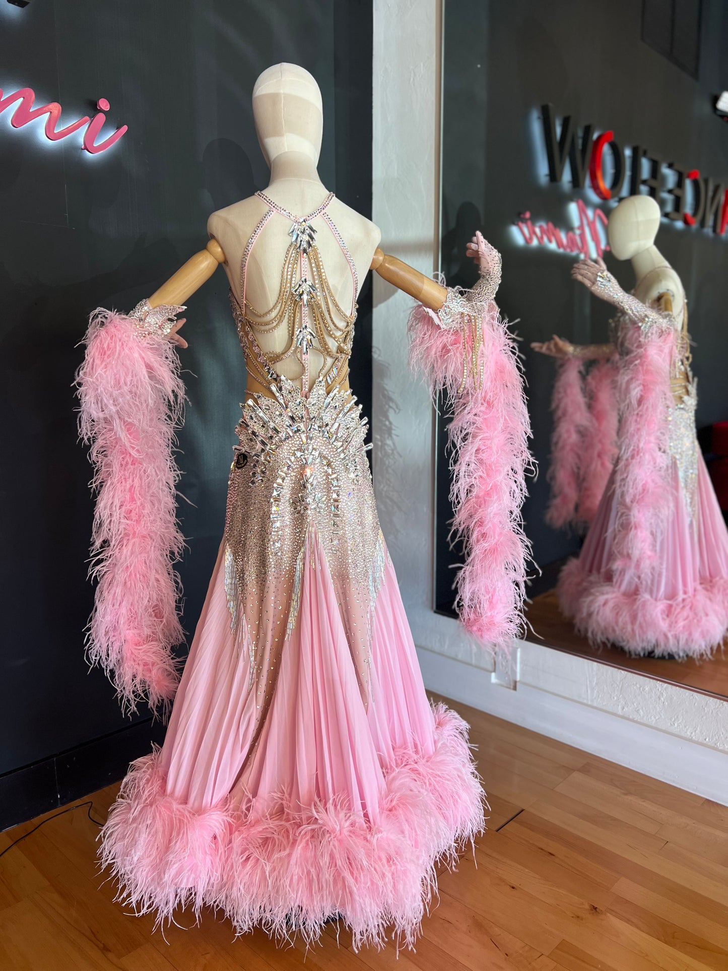 Pink Ballroom Standard Dress with Swarovski Crystals and Feathers