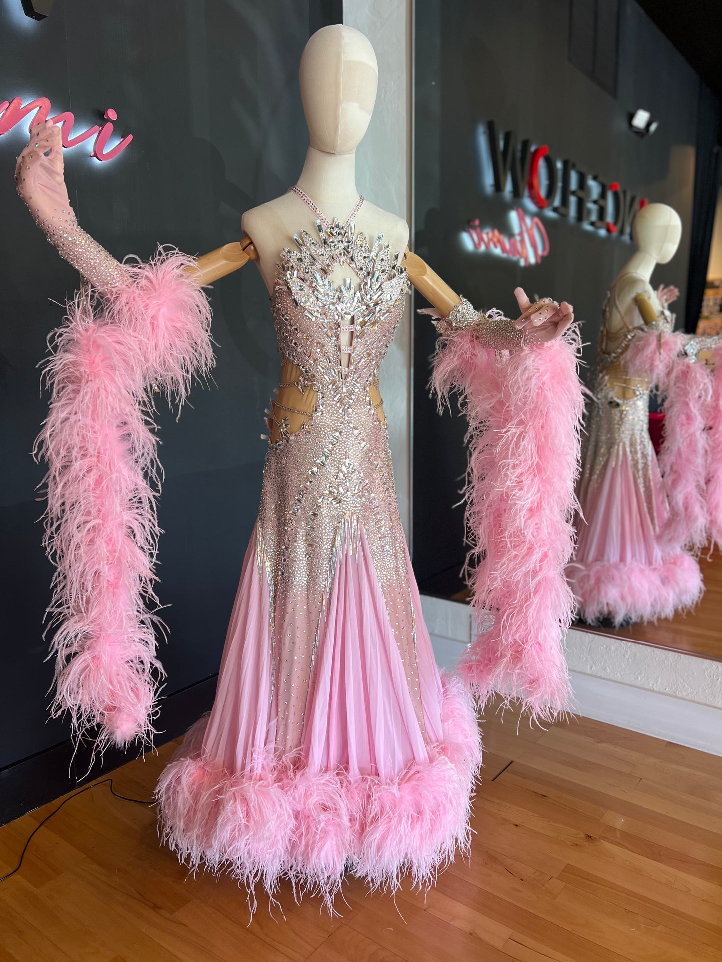 Pink Ballroom Standard Dress with Swarovski Crystals and Feathers